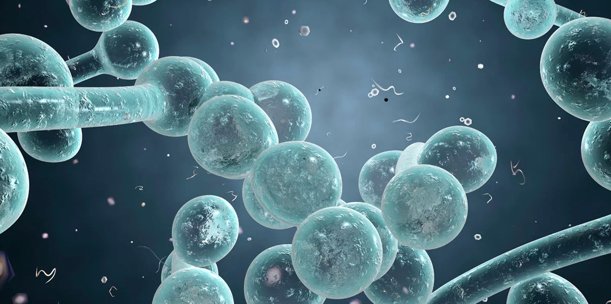 Apple Cider Vinegar For IBS Does It Help? IBS Gut Health Clinic