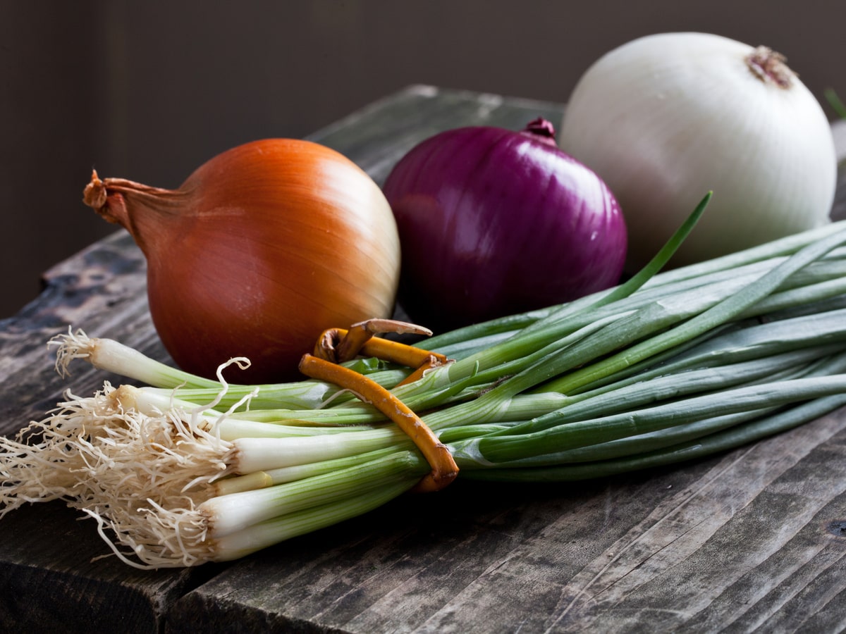 can-onions-trigger-ibs-the-ibs-gut-health-clinic