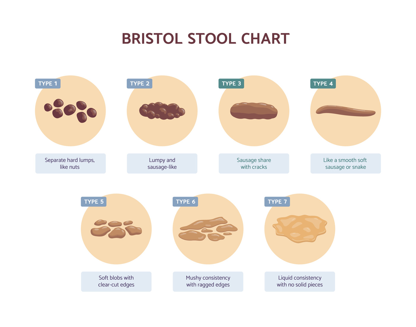 Bristol Stool Chart