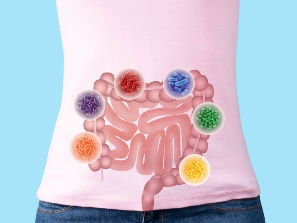 How to Starve Bad Gut Bacteria The IBS & Gut Health Clinic