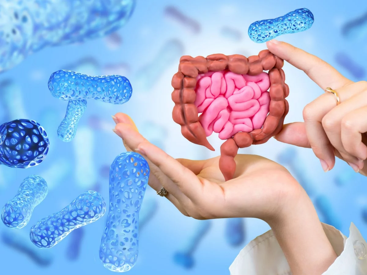 The Gut Microbiome & IBS