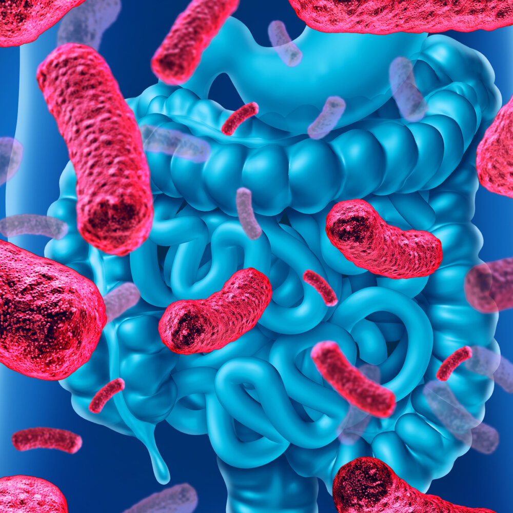 What Leads To Candida In The Stool? | IBS Gut Health Clinic