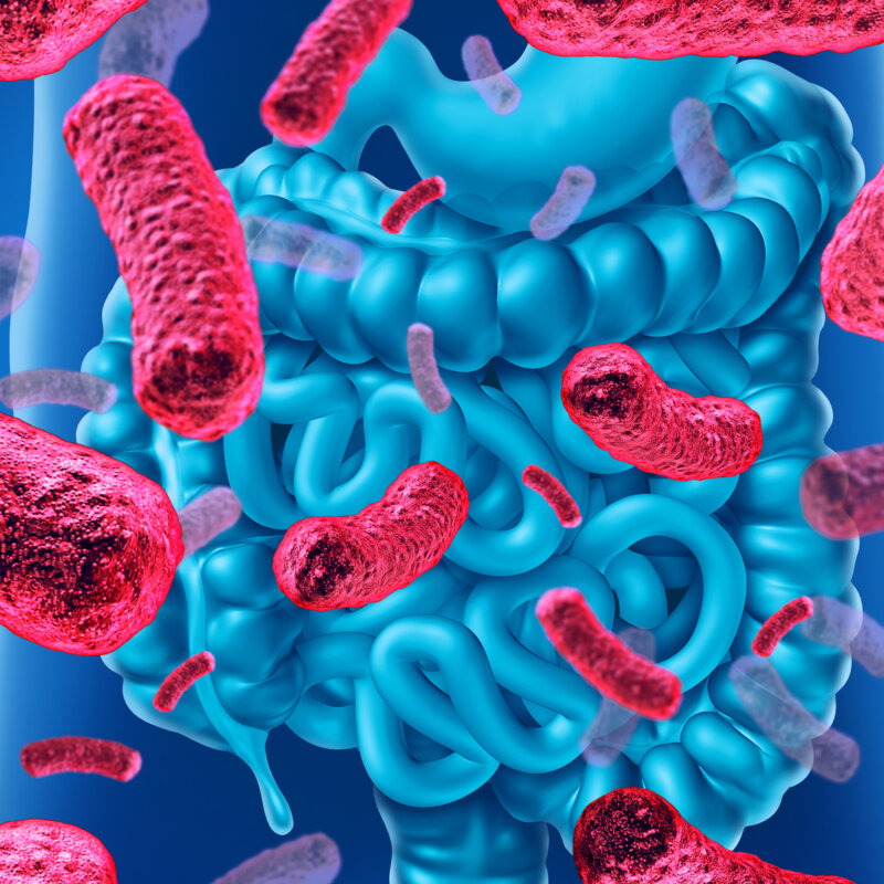 What Leads To Candida In The Stool? | IBS Gut Health Clinic