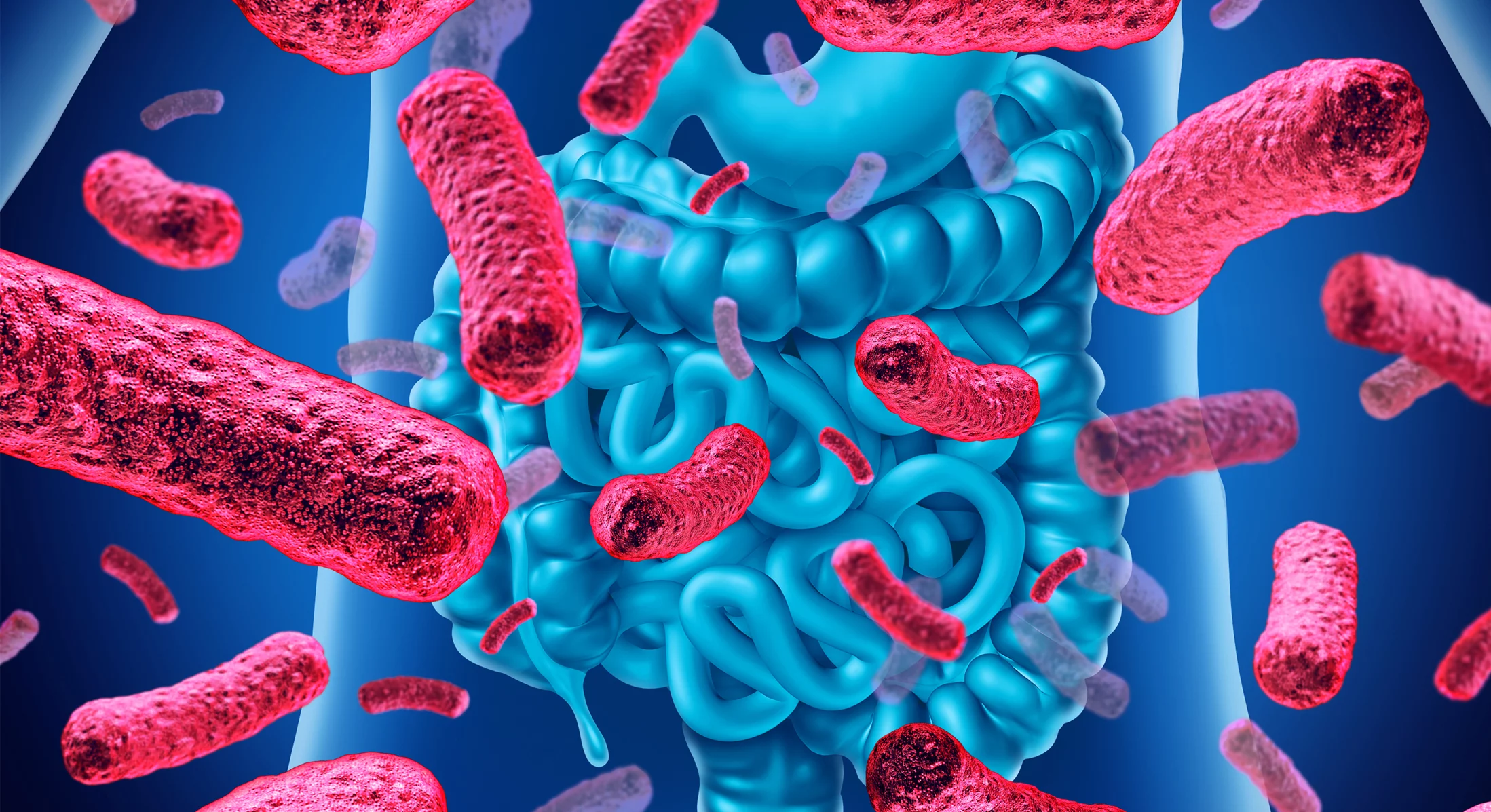 Probiotics for gut health and digestion | The IBS & Gut Health Clinic
